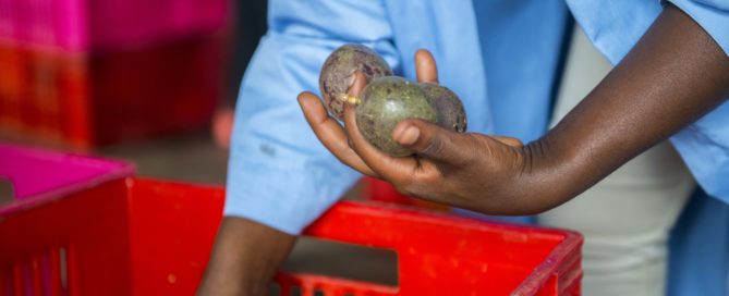 trends on agtech