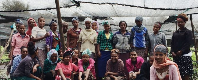 Smallholder farmers producers of organic for export