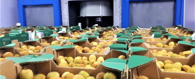 On farm pre-cooling as a game changer for Claremont farms