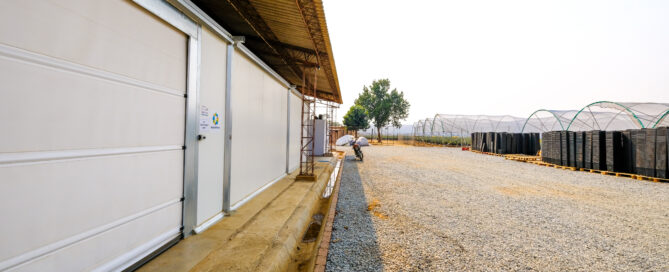 Export opportunities with on-farm pre-cooling and cold chain technologies