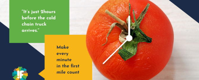 A graphic illustrating how a tomato would look with and without efficient cooling