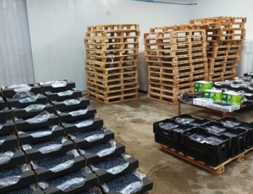 Hybrid On Farm Cold Rooms Protect Your Harvest and Keep It Fresh