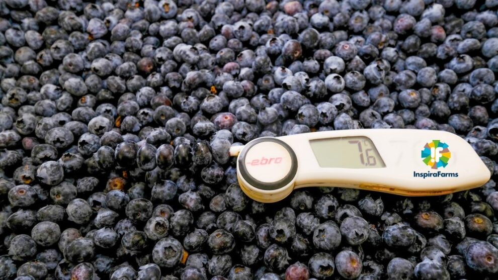 a product probe used to measure the core temperature of the produce