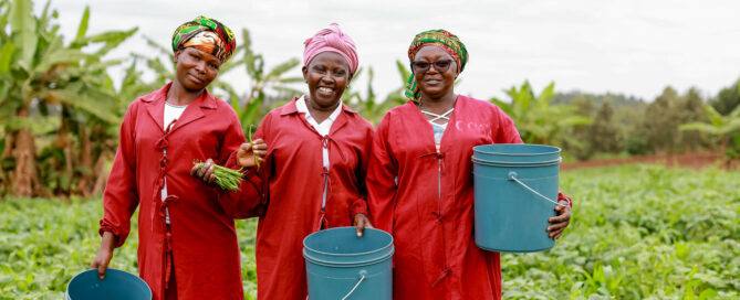 About our impact InspiraFarms COOLING