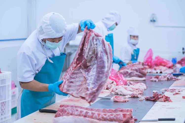 Slaughterhouse workers cutting meat in a Modular pre-fabricated slaughterhouses for processing meat and chicken