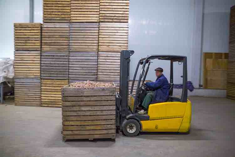Potatoes storage. Dry cool storage. Stacked wooden crates with potatoes.The employee on the electric forklift carry the wooden crate with potatoes.