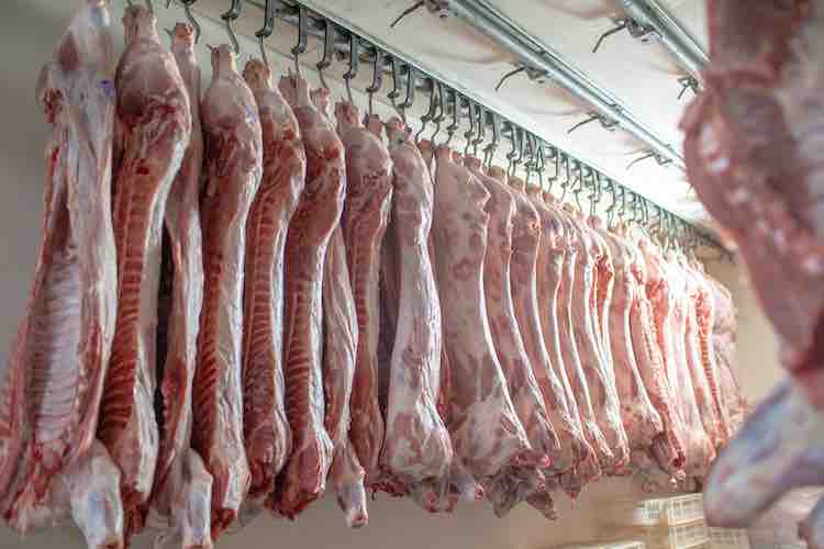 Freezer storage for meat