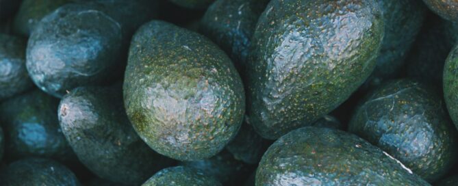 Cooling Solutions for Avocados by InspiraFarms.