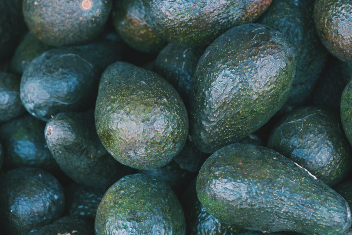 Cooling Solutions for Avocados by InspiraFarms.
