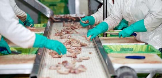 Modular slaughterhouses kenya