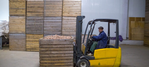 potato cold storage