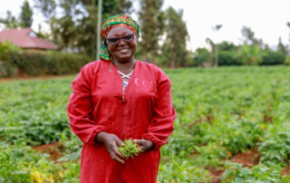 smallholder farmers in Kenya cooling