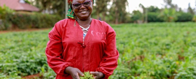 smallholder farmers in Kenya cooling