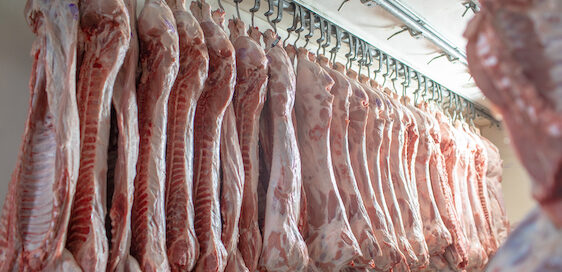 chillers for meat in africa