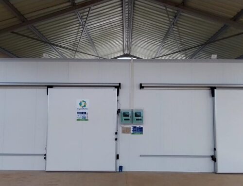 Key Factors to Consider When Selecting a Cold Room for your Agribusiness