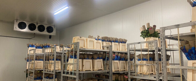 Lease to own cold rooms in Kenya