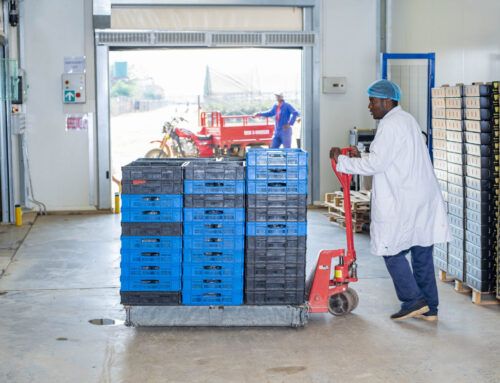 Unlock Africa’s Cold Chain Potential: How InspiraFarms Cooling is Transforming Agribusiness