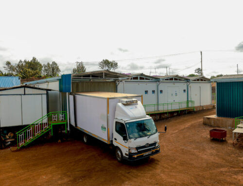 How First-Time Exporters Can Meet Cold Chain Compliance Standards